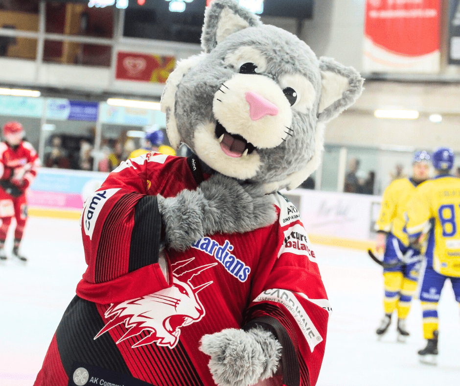 Easter fun with Swindon Wildcats this weekend