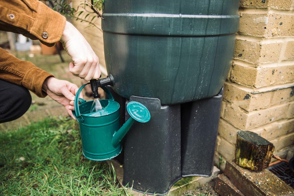 Using a water butt can help to conserve supplies