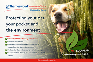 Thameswood Vets