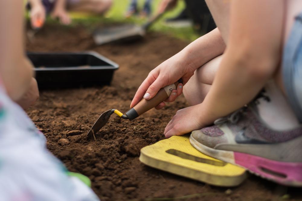 Festival of Archaeology comes to Avebury