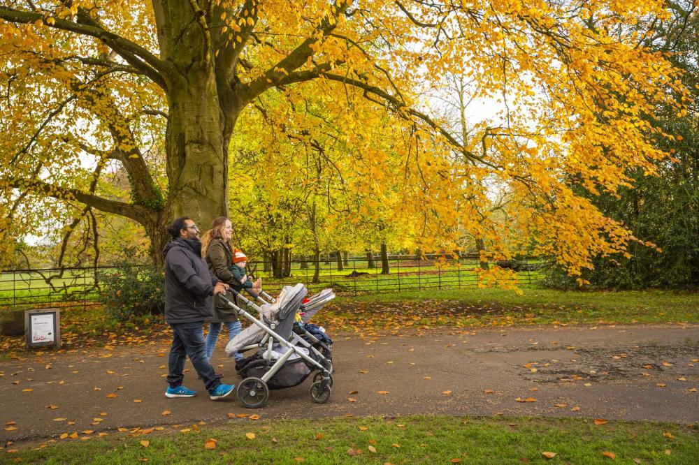 Plenty to see and do at Avebury and Lacock Abbey