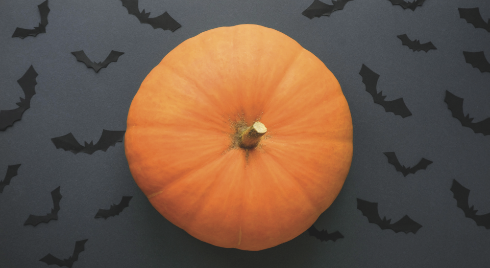 Spooky Season at Studley Grange!