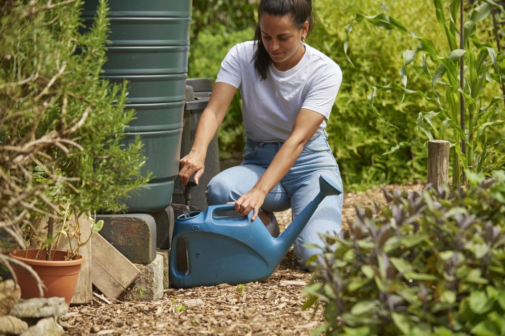 Temporary hosepipe ban for Swindon area