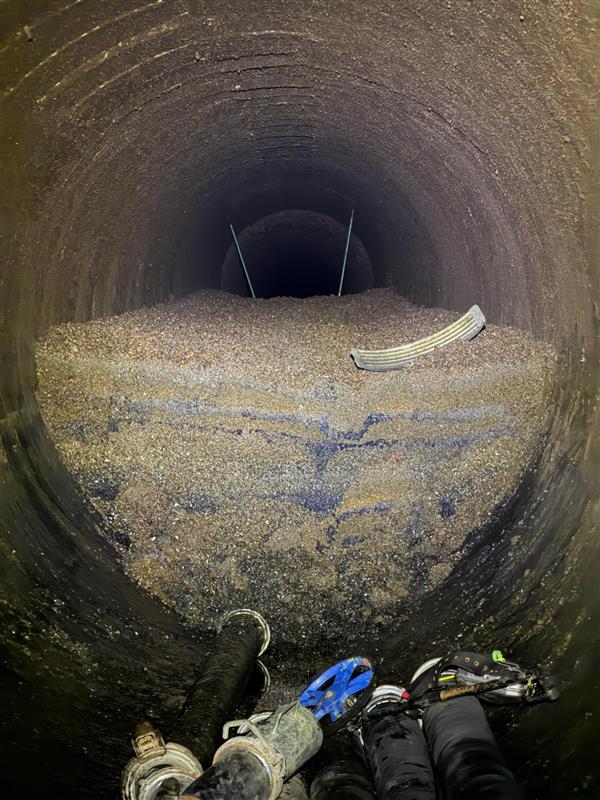 Invasive mussels cost Thames Water £4m a year