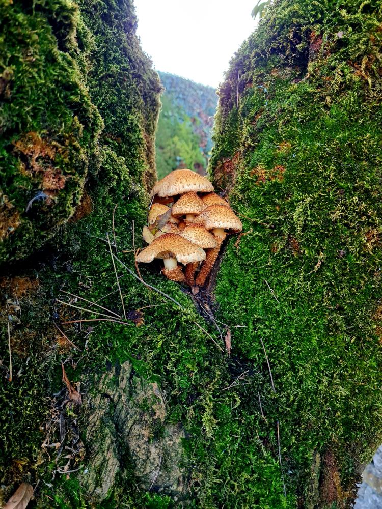 Martha's winning photograph