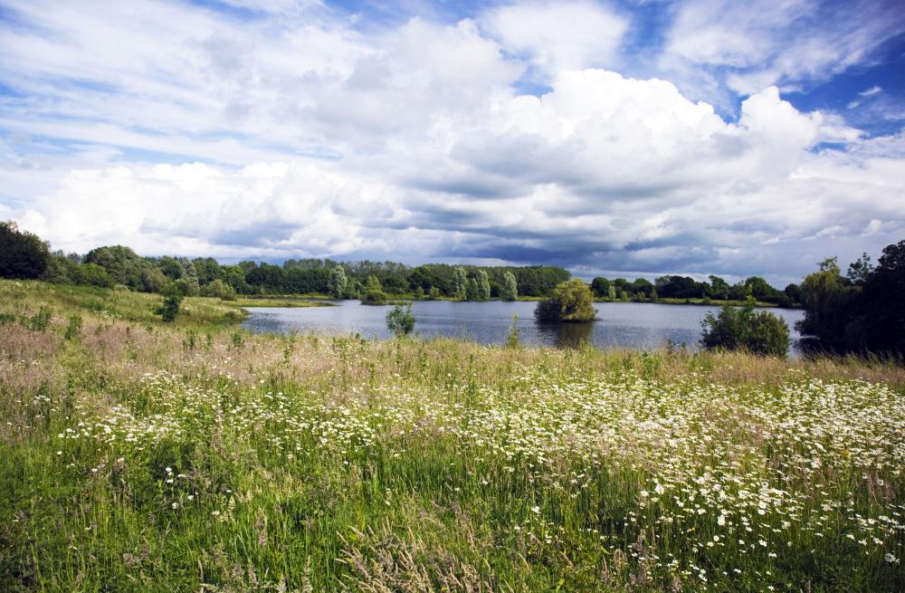 Wiltshire Wildlife Trust launches appeal to enhance their flagship reserves