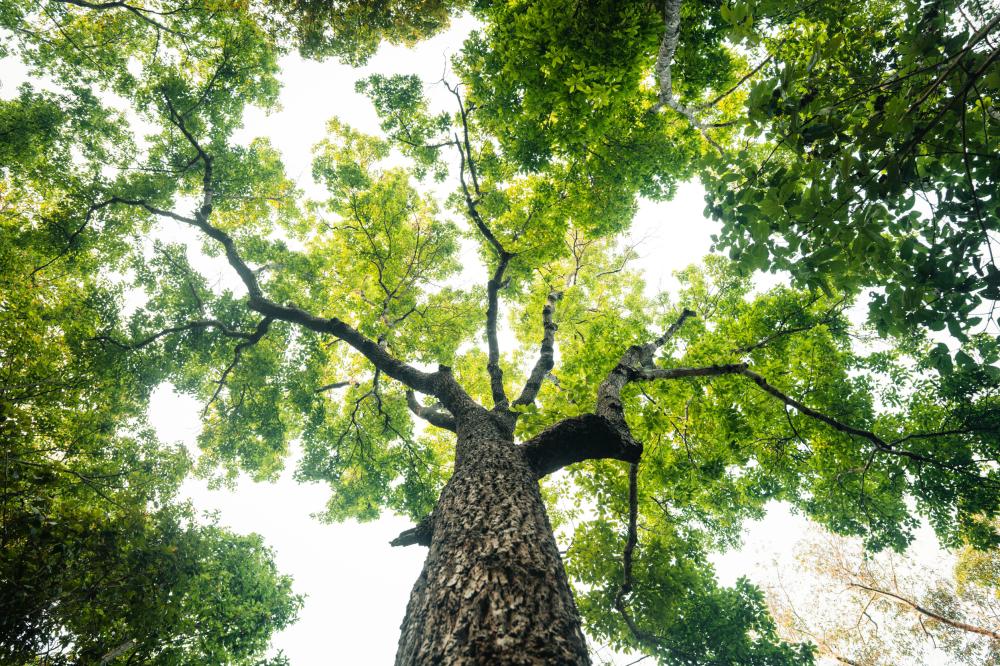 Council to consider motion calling for Swindon nature reserve protection