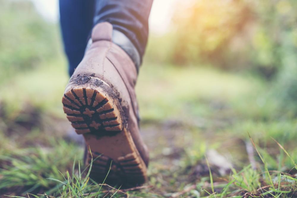 Swindon walk named region's best for accessibility