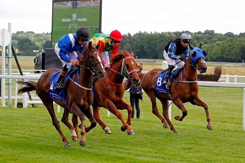 Mr McCartney among declared runners for Newbury's Dubai Duty Free Mill Reef Stakes