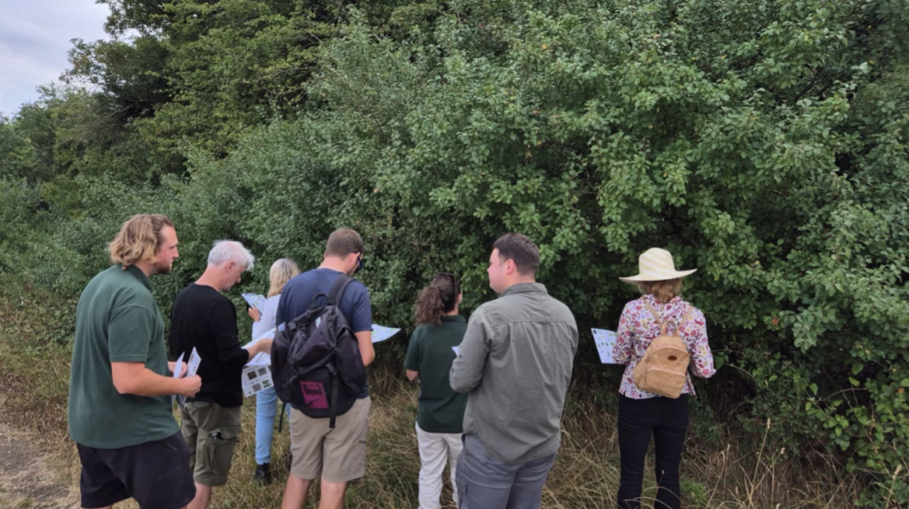 Volunteers needed to nurture and safeguard trees